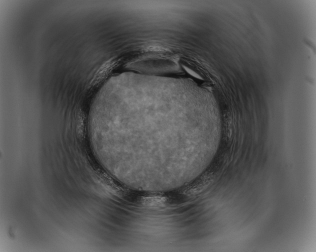 X0000095120266200801041230