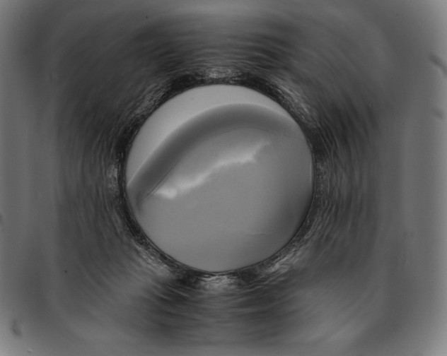 X0000095120269200801041230