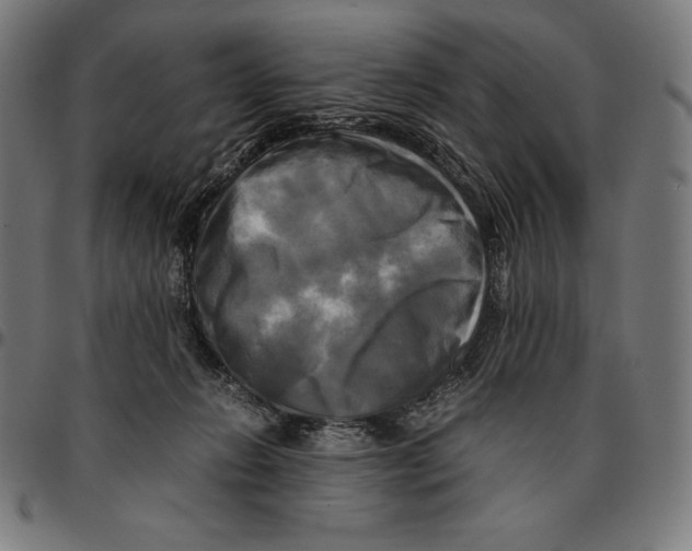 X0000095120270200801041230