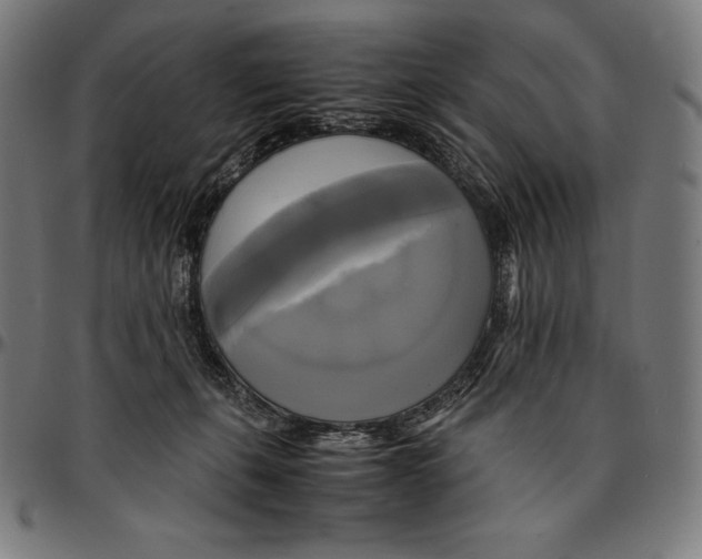 X0000095120271200801041230