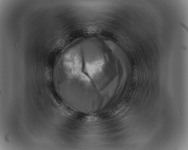 X0000095120272200801041230