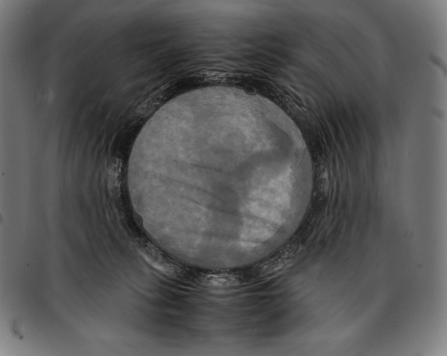 X0000095120275200801041230