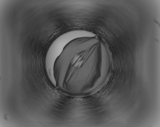 X0000095120276200801041230