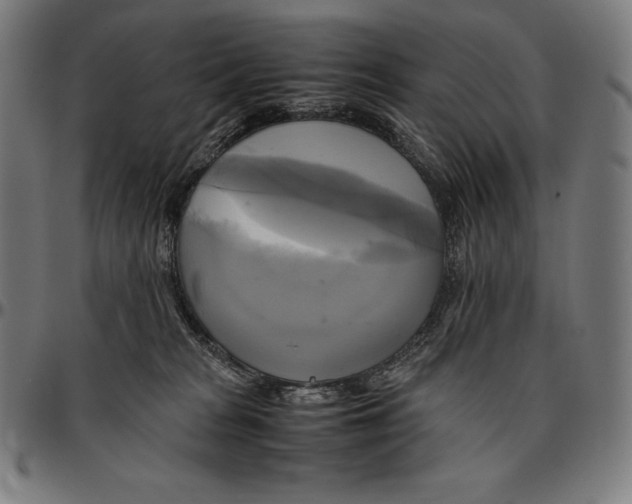 X0000095120277200801041230