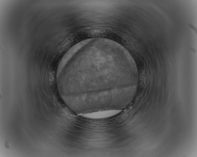 X0000095120278200801041230