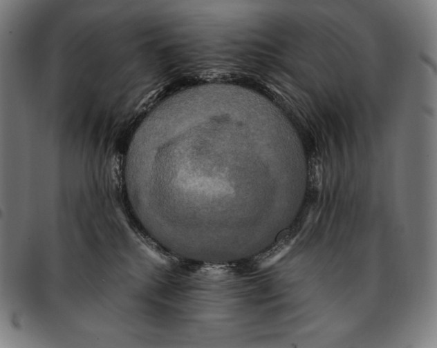 X0000095120280200801041230