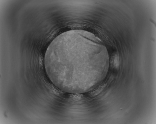 X0000095120282200801041230