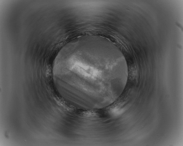 X0000095120284200801041230