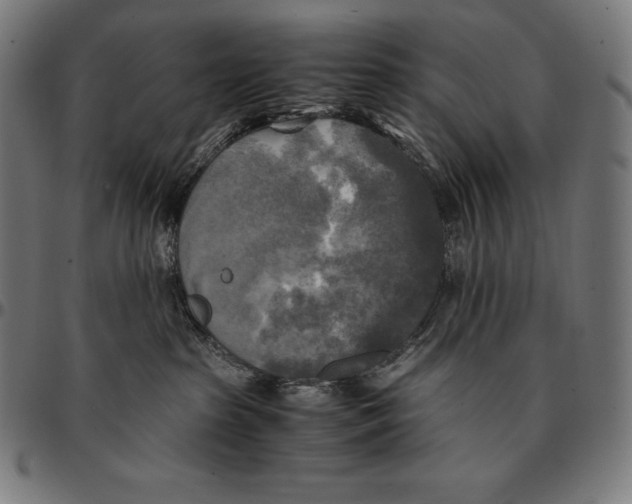 X0000095120285200801041230