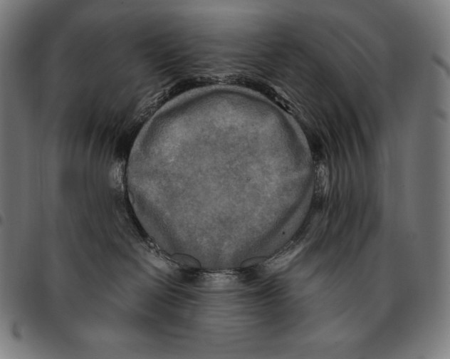 X0000095120286200801041230