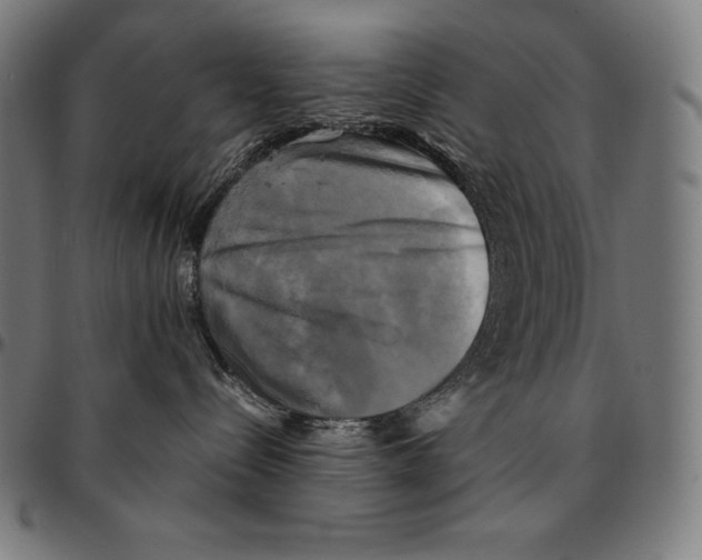 X0000095120288200801041230