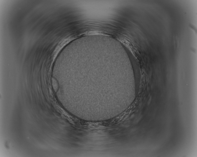 X0000095120289200801041229