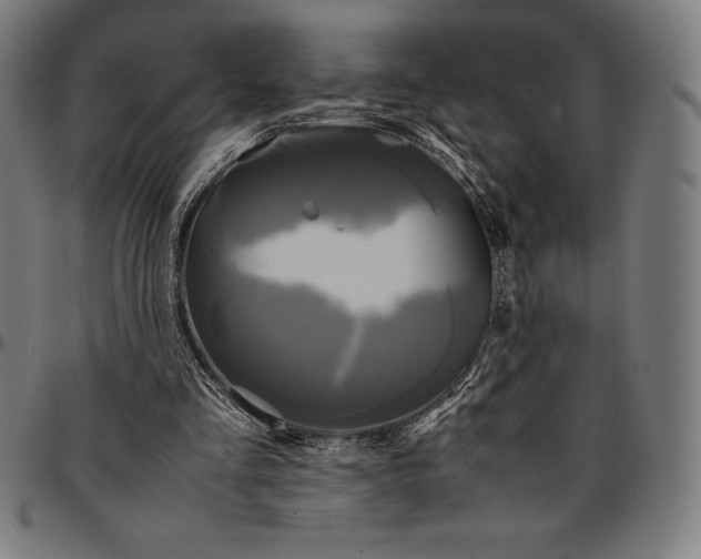 X0000095120293200801041229