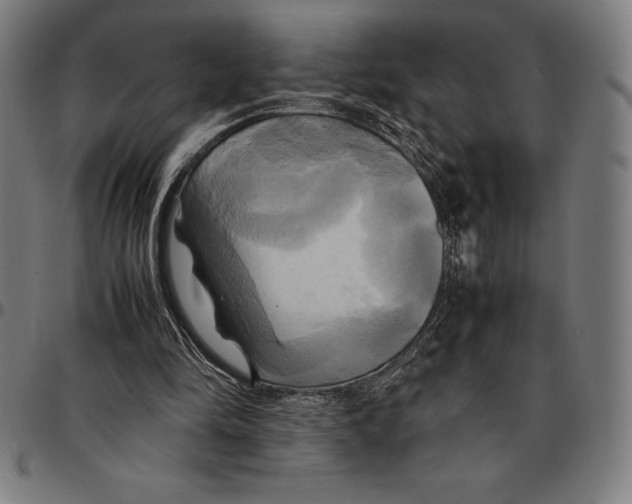 X0000095120294200801041229