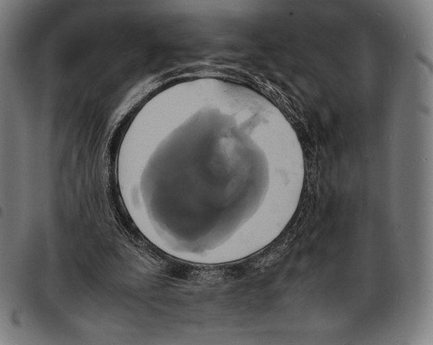 X0000095120295200801041229