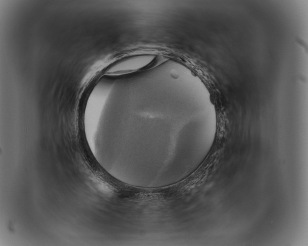 X0000095120296200801041229