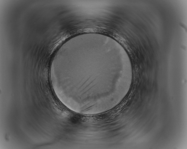 X0000095120297200801041229