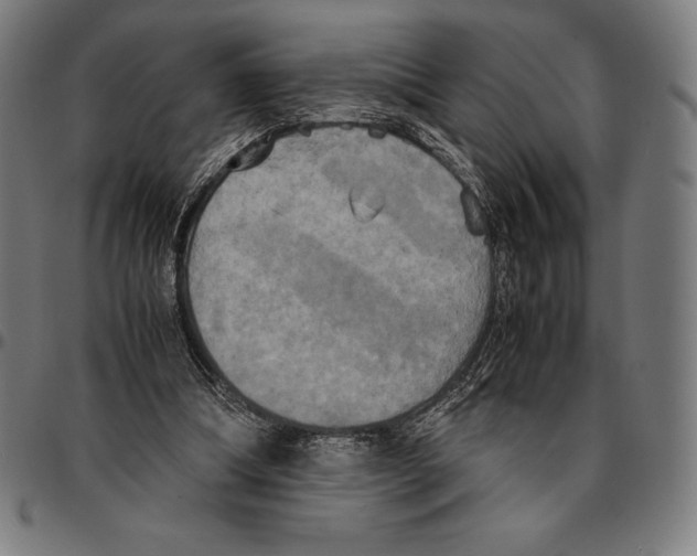 X0000095120298200801041229