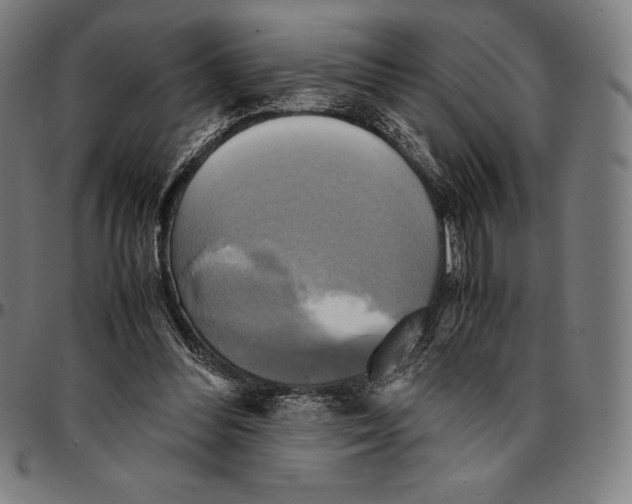 X0000095120300200801041229