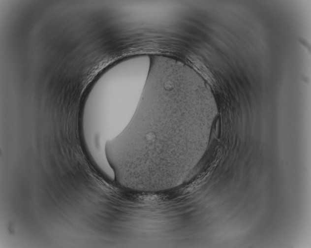 X0000095120301200801041229