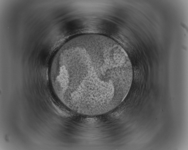 X0000095120302200801041229