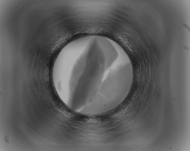 X0000095120303200801041229