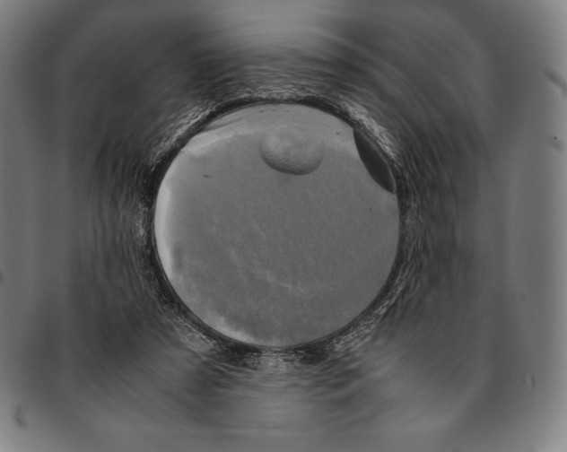 X0000095120305200801041229