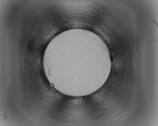 X0000095120306200801041229