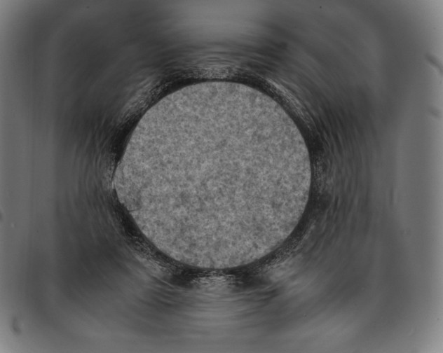 X0000095120307200801041229