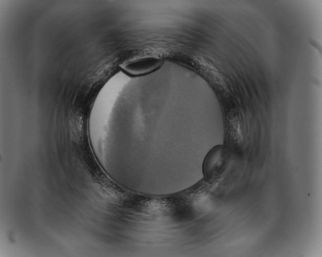 X0000095120308200801041229