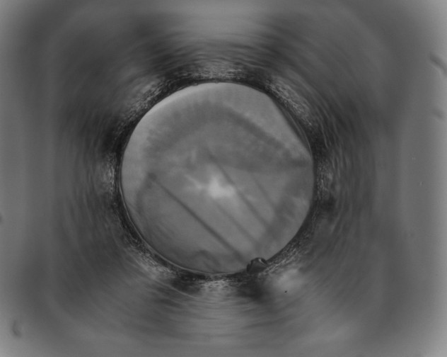 X0000095120309200801041229