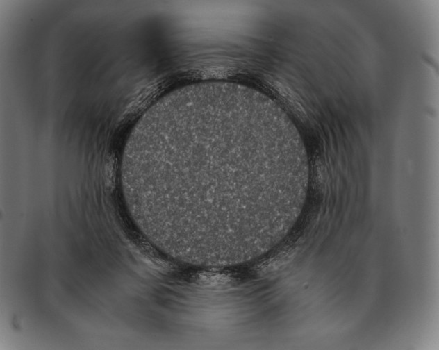 X0000095120311200801041229