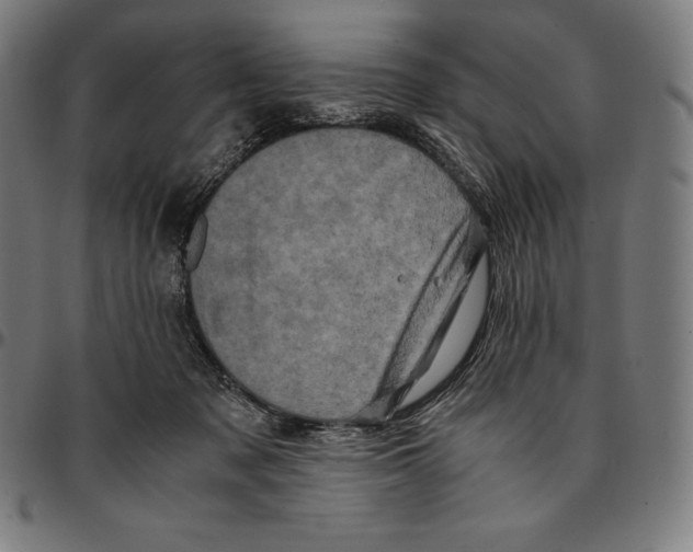 X0000095120317200801041229