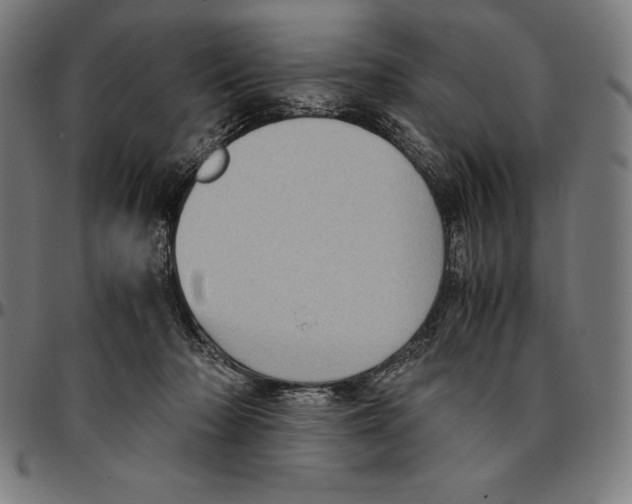 X0000095120318200801041229