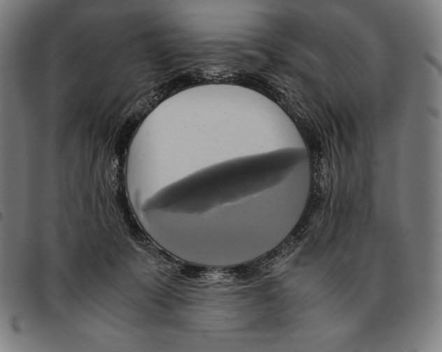 X0000095120319200801041229