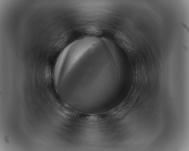 X0000095120320200801041229