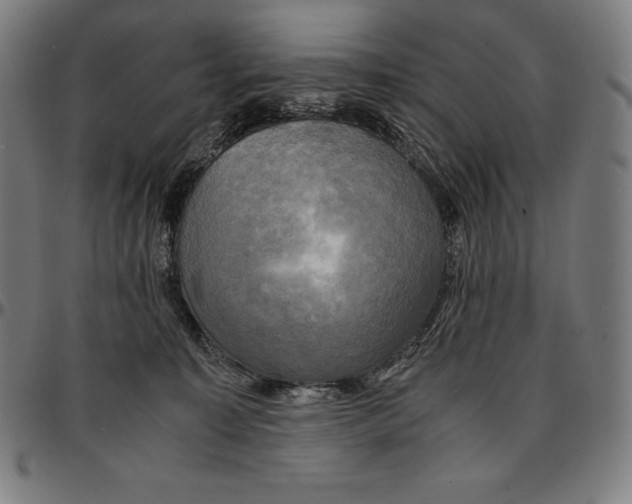 X0000095120323200801041229