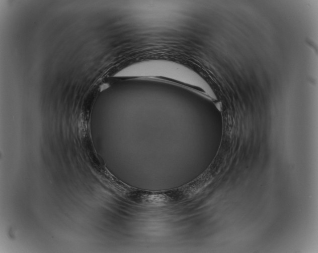 X0000095120324200801041229