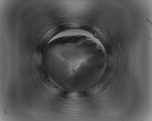 X0000095120325200801041229