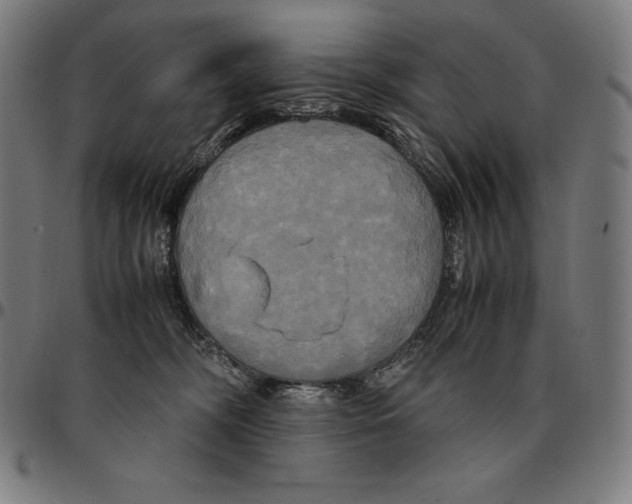 X0000095120326200801041229