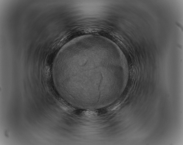 X0000095120327200801041229