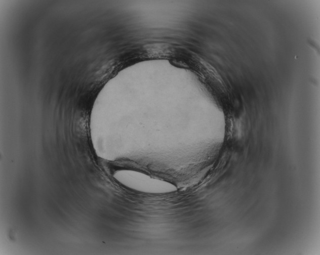 X0000095120329200801041229