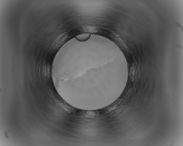 X0000095120330200801041229