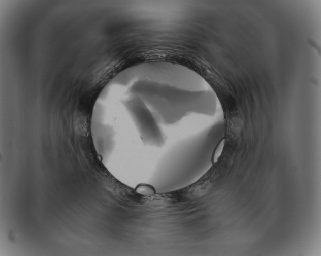 X0000095120331200801041229