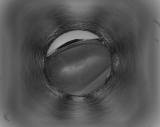 X0000095120332200801041229