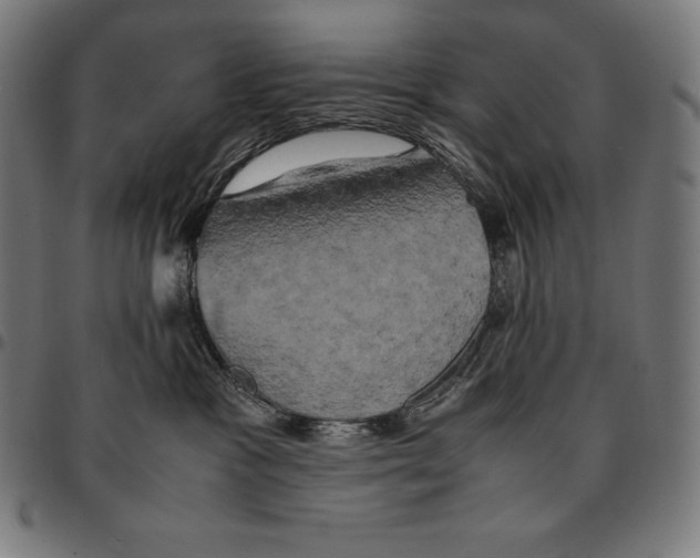 X0000095120333200801041229