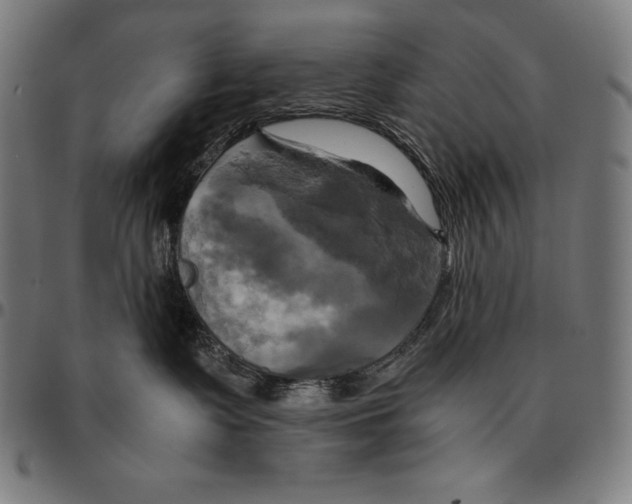 X0000095120335200801041229