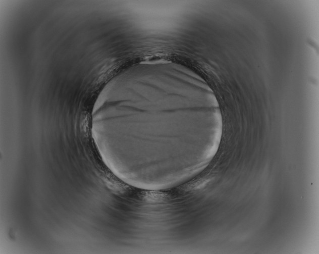 X0000095120336200801041229