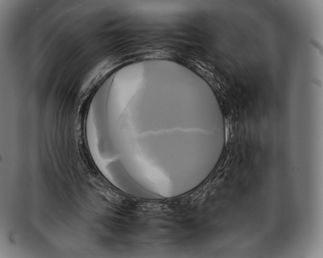 X0000095120339200801041228