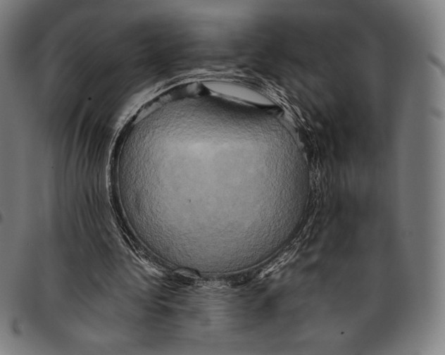 X0000095120340200801041228